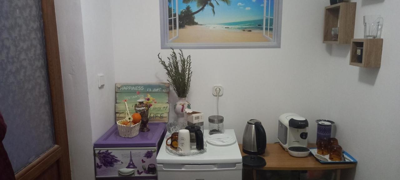 Strada Banu Mihalcea Nr. 150 Villa คอนสตันซา ภายนอก รูปภาพ