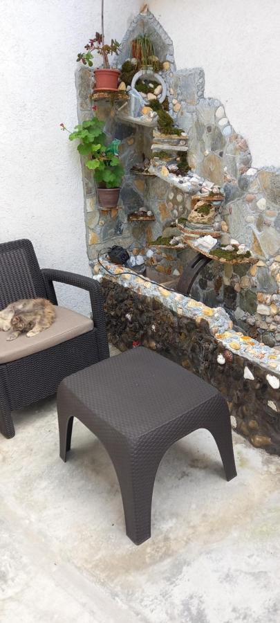 Strada Banu Mihalcea Nr. 150 Villa คอนสตันซา ภายนอก รูปภาพ