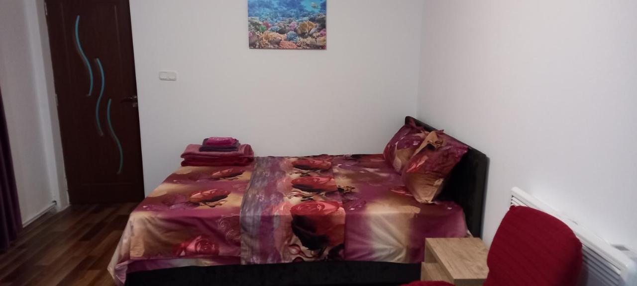 Strada Banu Mihalcea Nr. 150 Villa คอนสตันซา ภายนอก รูปภาพ