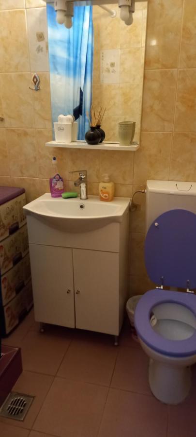 Strada Banu Mihalcea Nr. 150 Villa คอนสตันซา ภายนอก รูปภาพ