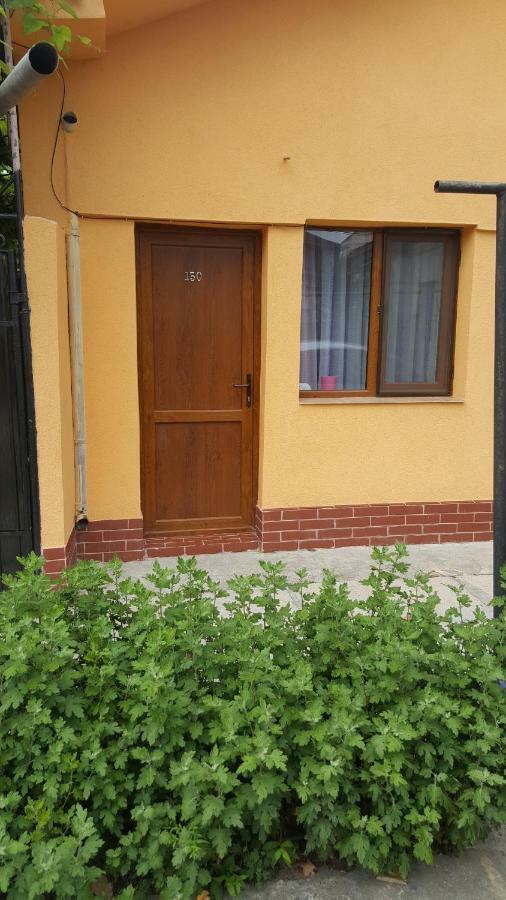 Strada Banu Mihalcea Nr. 150 Villa คอนสตันซา ภายนอก รูปภาพ